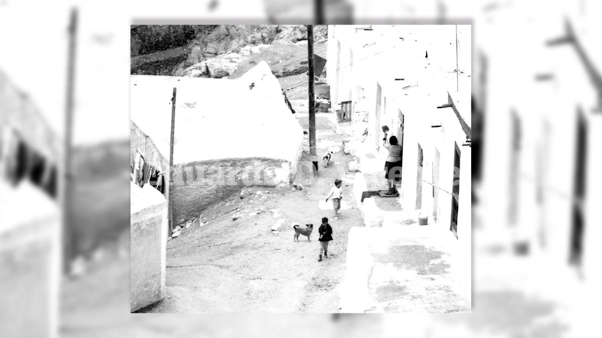 Los perros sueltos formaban parte del paisaje cotidiano de Almería cuando la vida corría desbocada en las calles.