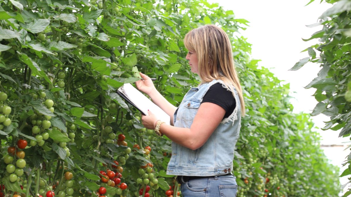 La investigación agroalimentaria es uno de los bastiones del crecimiento económico almeriense.