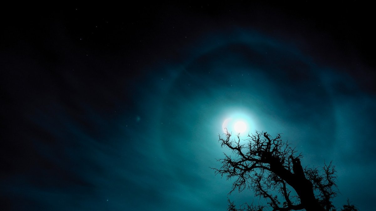 Mejor Fotografía del Safari Fotográfico 