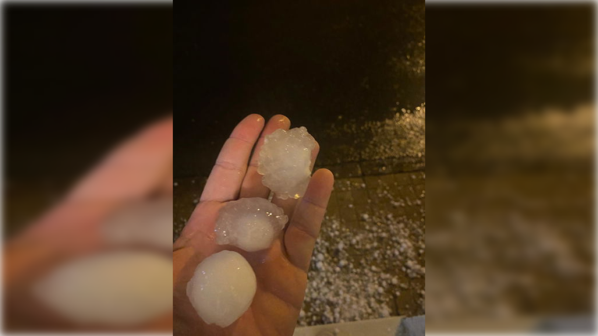 Tamaño del granizo caído ayer en El Ejido.