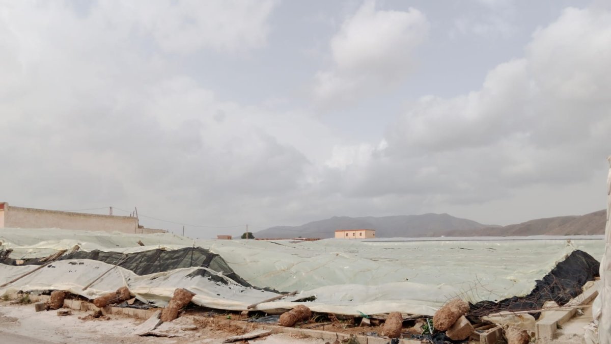 Invernadero derrumbado en Fuente Nueva, El Ejido.