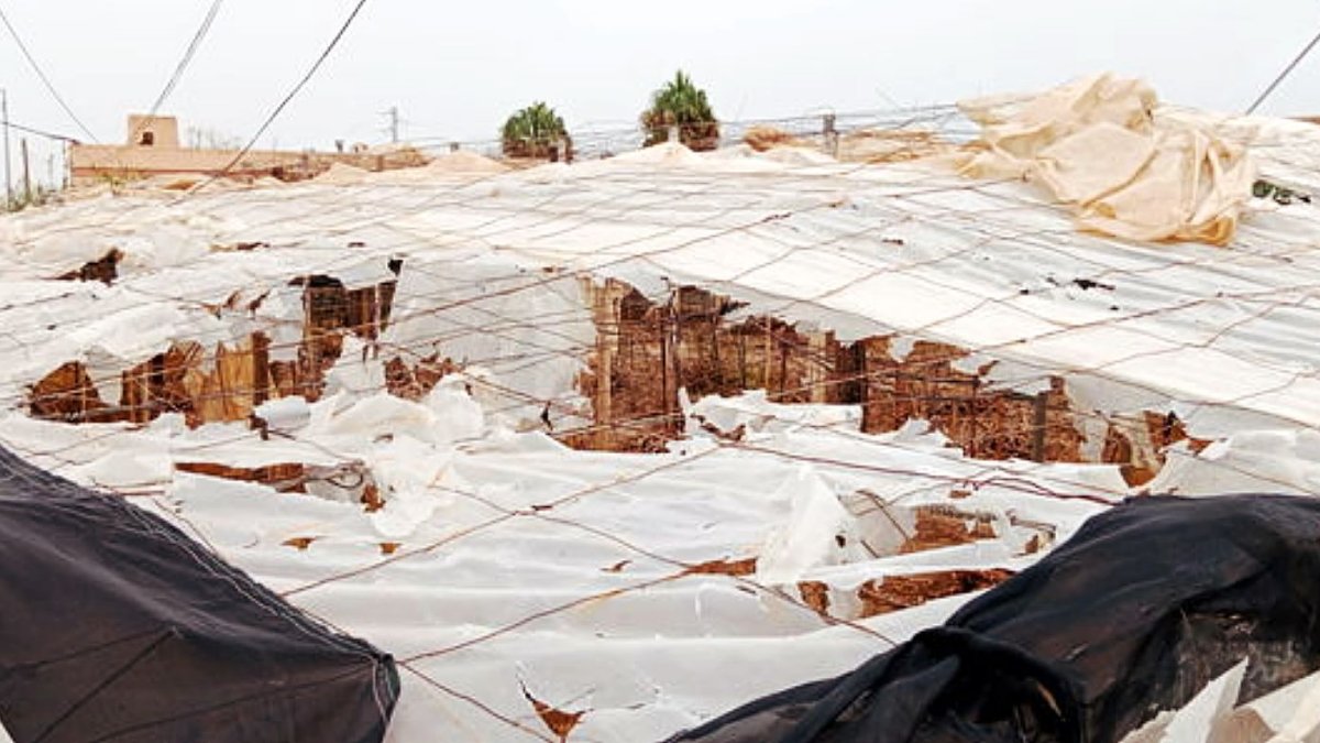 Daños en un invernadero de El Ejido.