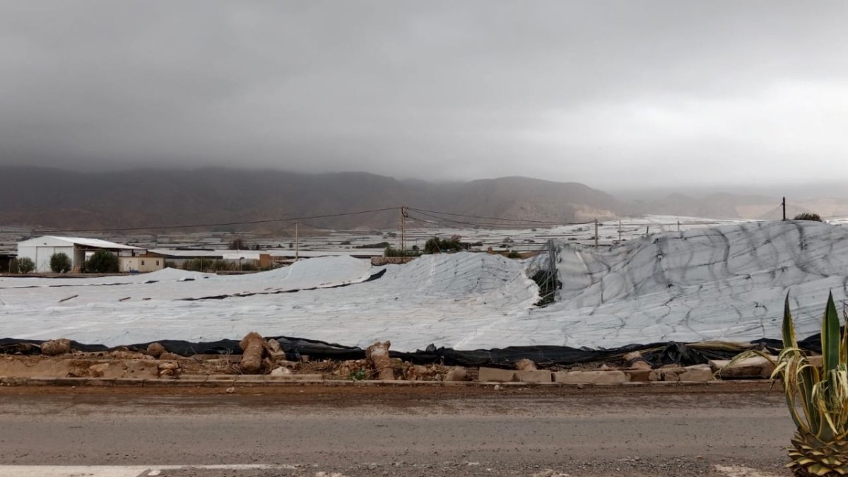 Invernadero derrumbado por la DANA en El Ejido.