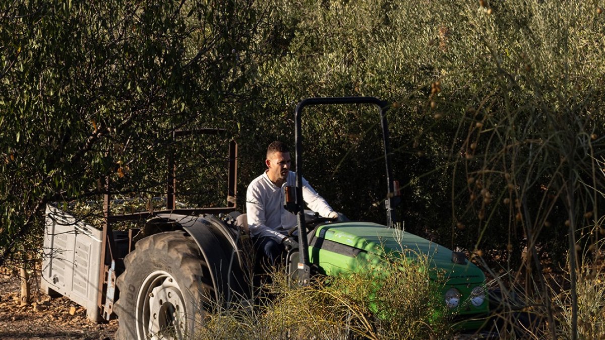 David García, uno de los responsables de La Almazara de Lubrín.