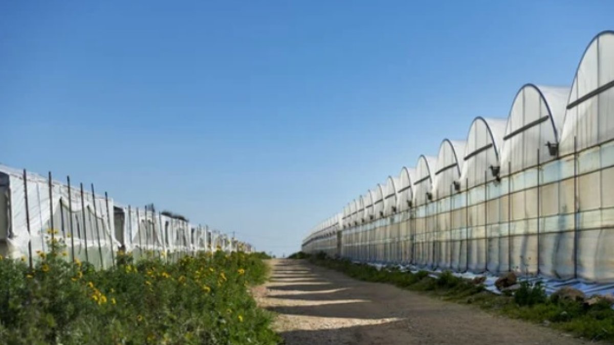 Imagen de archivo de un invernadero. DEPOSITPHOTOS