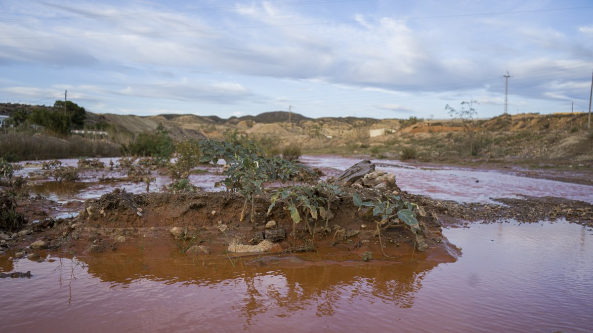 Imagen captada tras la alerta roja en Almería el 3 de noviembre.