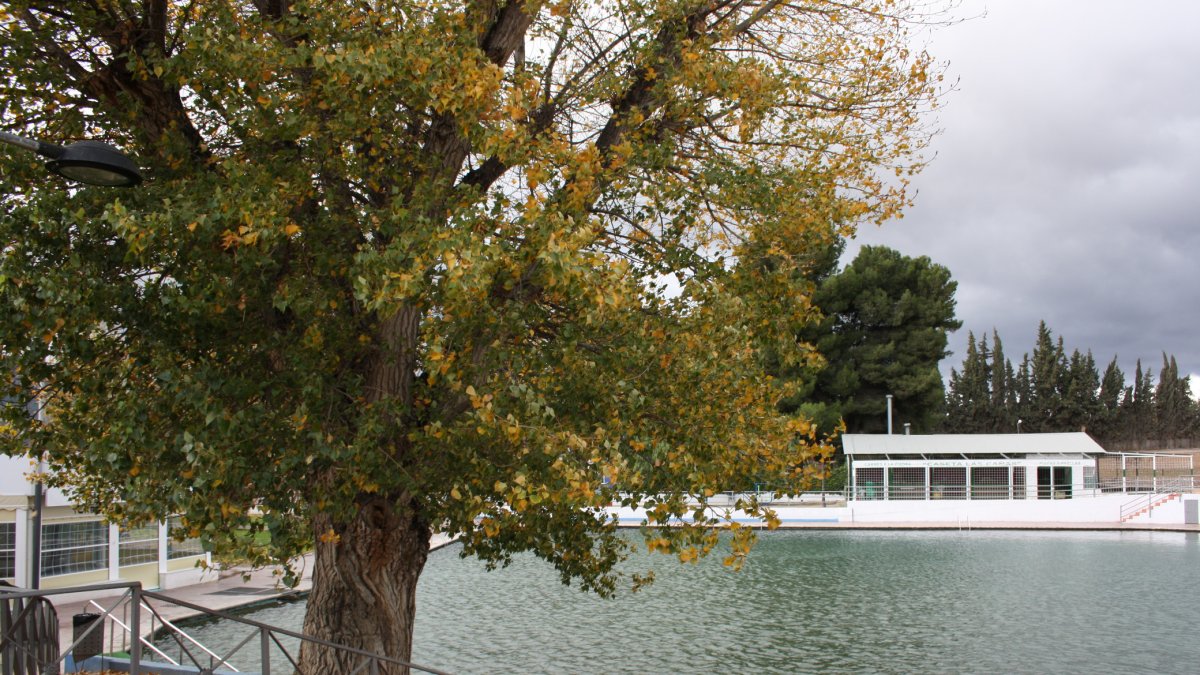 La conocida balsa termal de época romana que comparten dos pueblos de Almería.