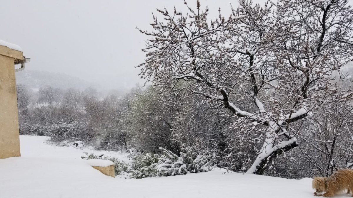 Imagen de archivo de una nevada anterior en la provincia.