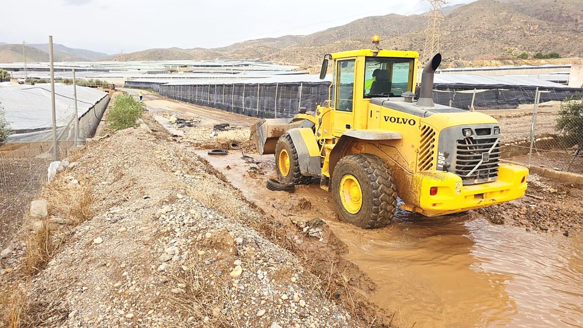 Reparación de los daños causados por la DANA en El Ejido en una imagen de archivo.
