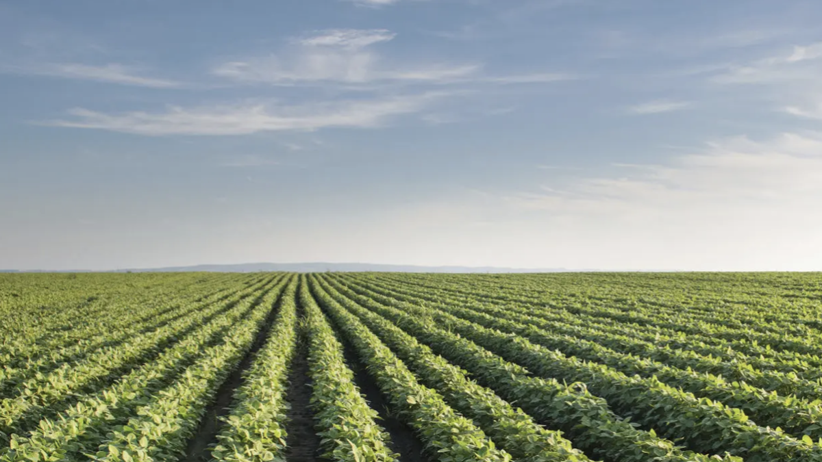 ASAJA logra excluir la compensación del IVA del cálculo de ingresos para productores en módulos