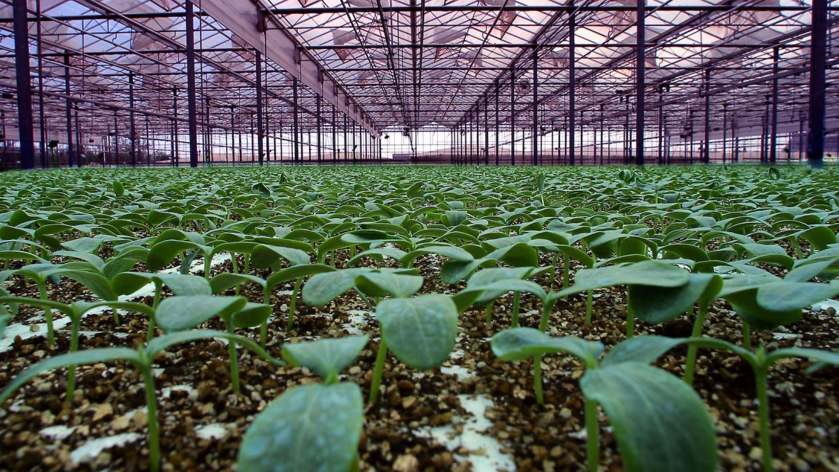 Soluciones para todo tipo de cultivos