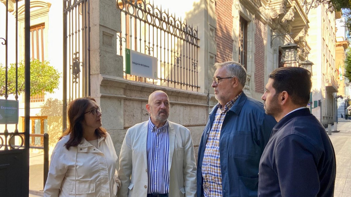 Los representantes de la mesa del tren a las puertas de la Delegación de Gobierno.