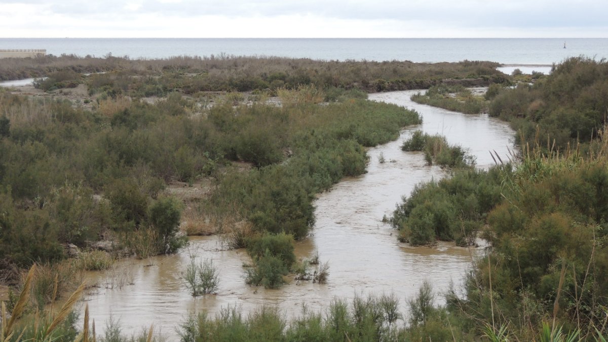 Las últimas lluvias en la provincia de Almería provocaron la salida del río Andarax, obligando a cortar los accesos a personas y vehículos.