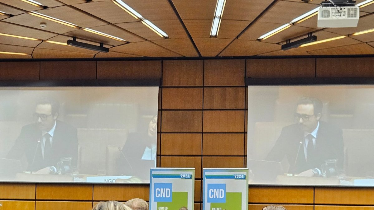 El almeriense en una intervención en la ONU