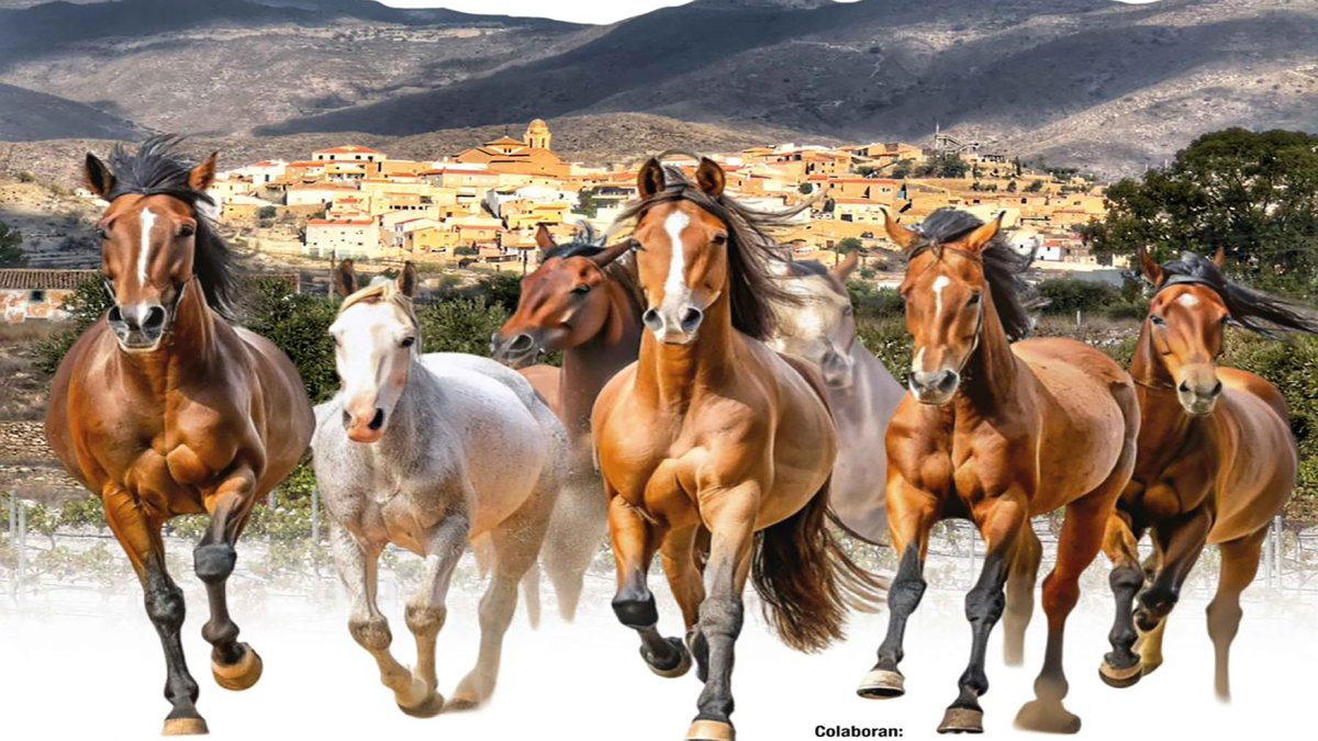 La IV Feria del Caballo se celebrará mañana a partir de las 9:00 horas.