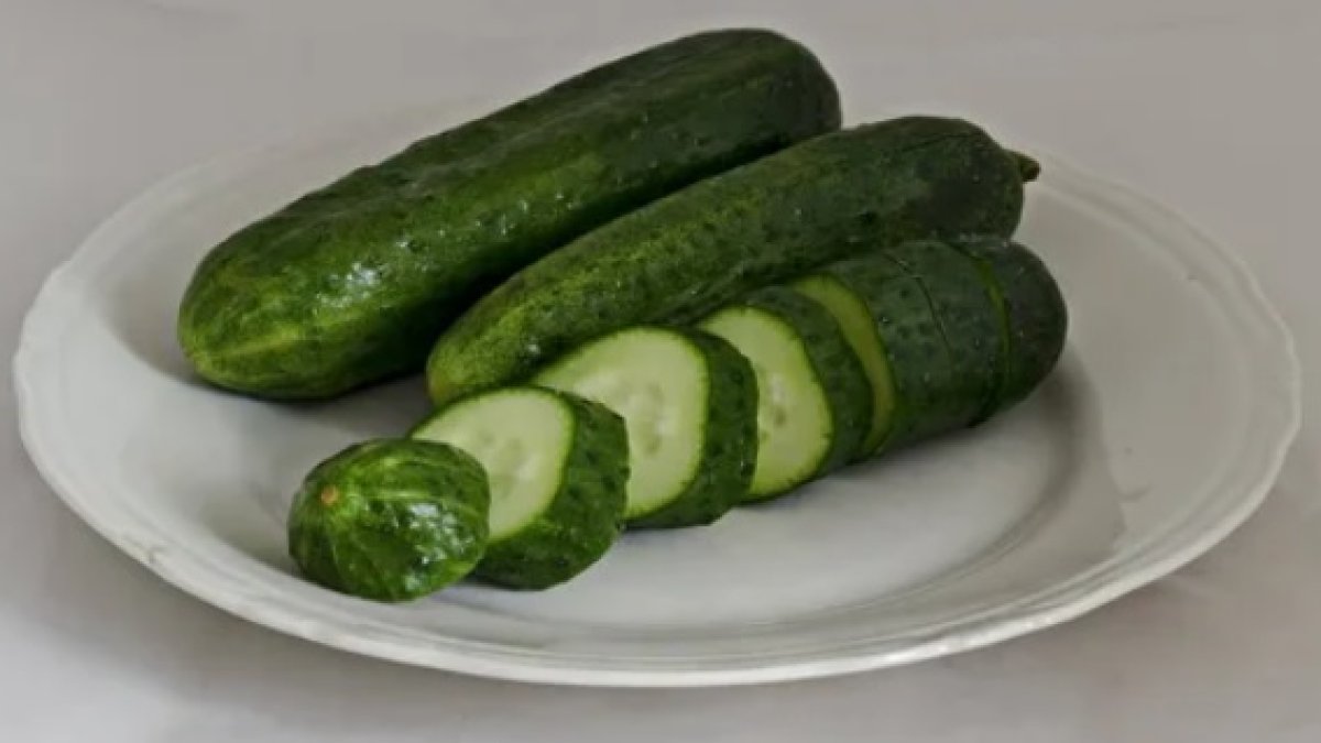 Imagen de archivo de un plato de pepinos. DEPOSITPHOTOS