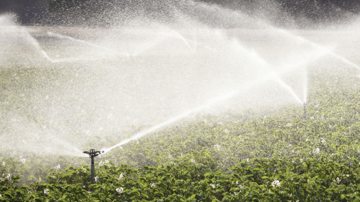 Podrán concurrir los alumnos y grupos de cualquier universidad española