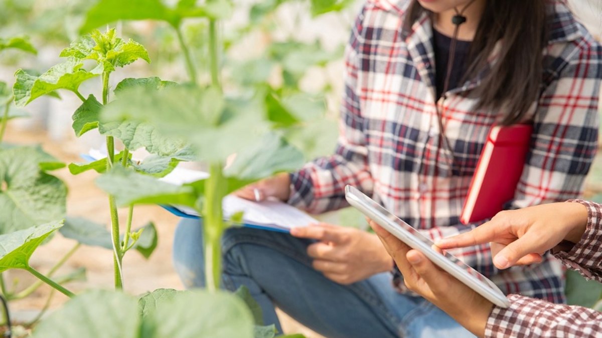 Aprobados 25 proyectos para promover inversiones que mejoren la transformación, comercialización y desarrollo de productos agrarios