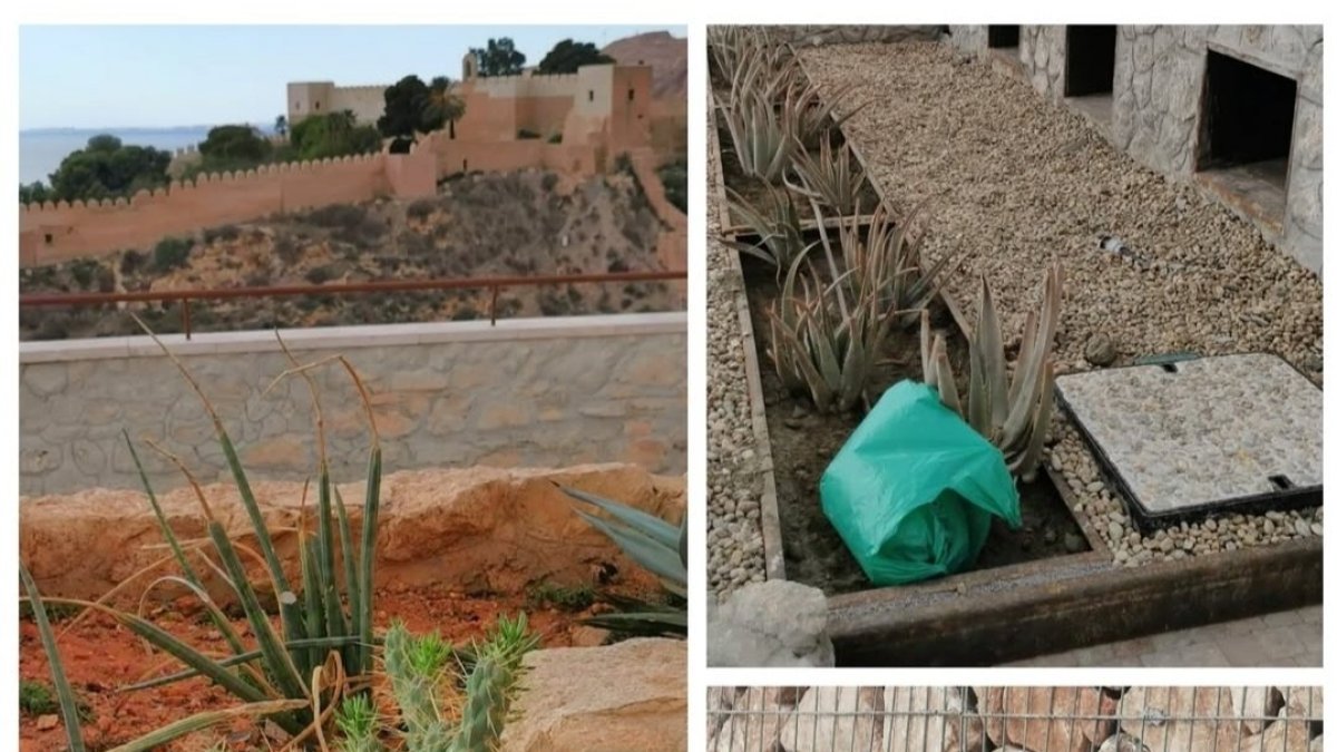 Suciedad acumulada en las jardineras