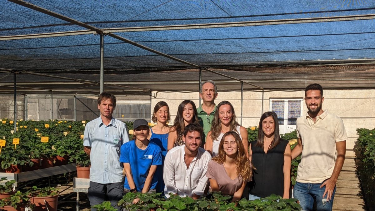 Equipo de investigadores del grupo de Mejora Genética y Biotecnología de Fresa