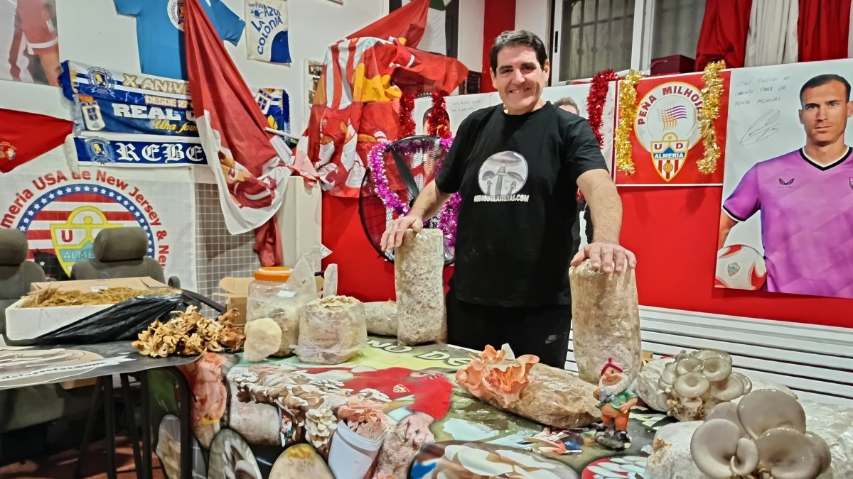 El almeriense José Luis López Cano con sus cultivos de setas en la sede de la Peña Milhojas.