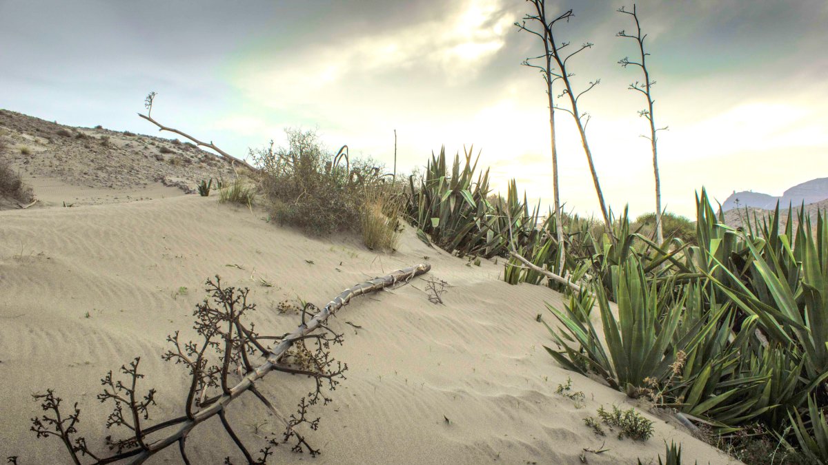 Imagen del Parque Natural Cabo de Gata-Níjar. MARINA GINÉS