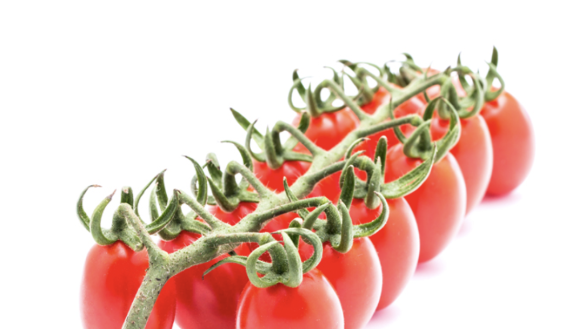 Tomate Cherry Lobello