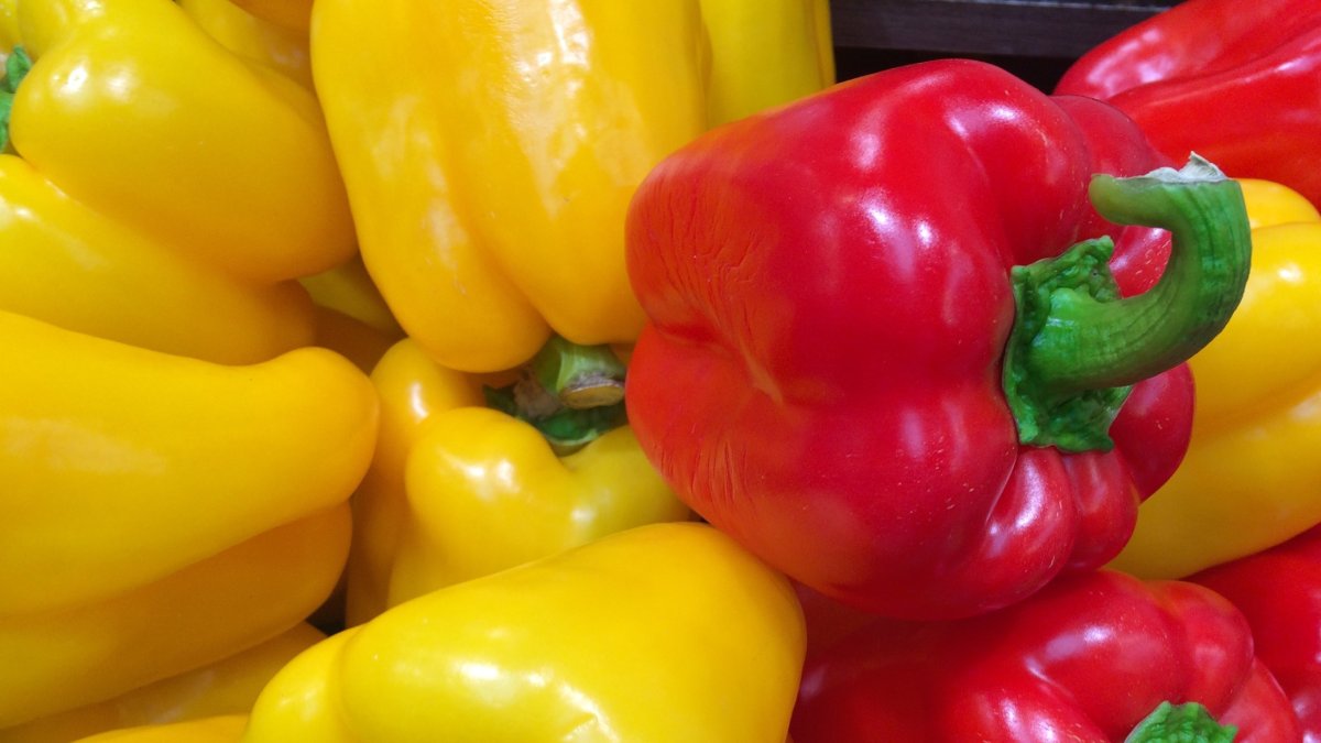 Pimiento California almeriense.