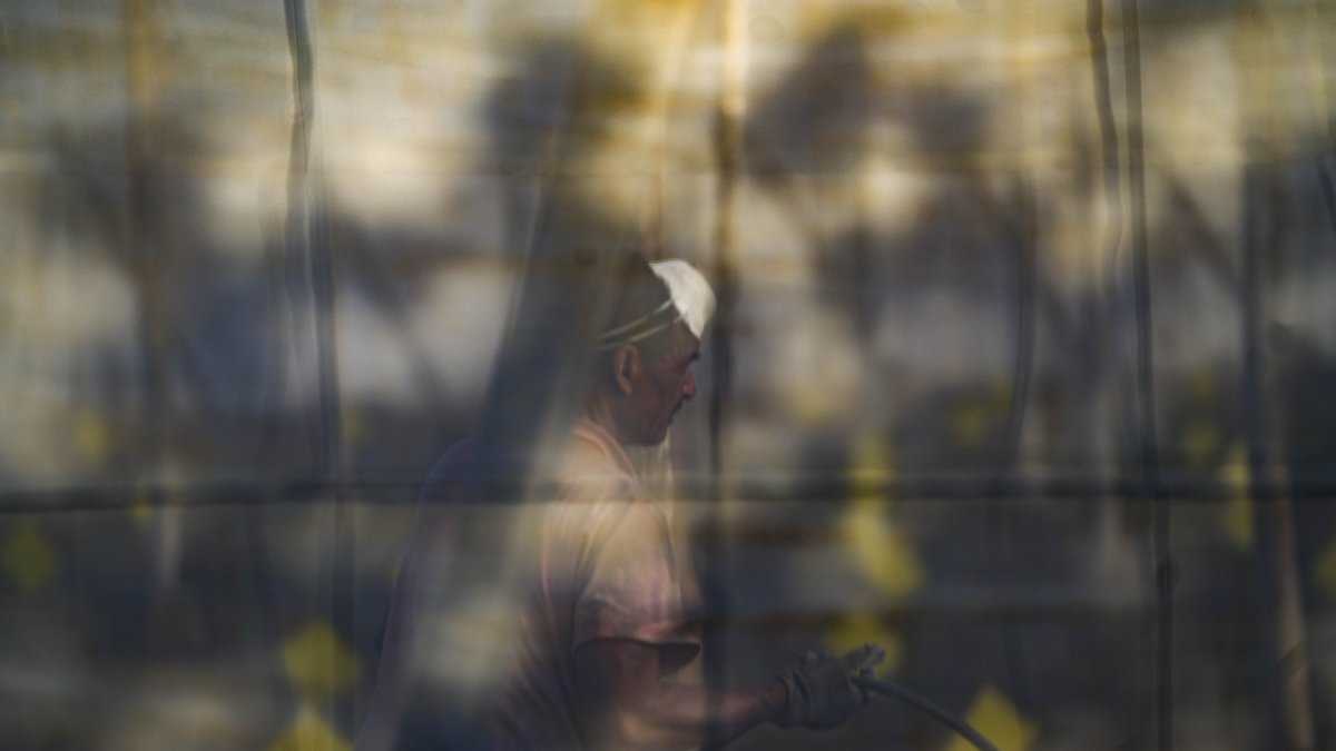 Un hombre trabaja en el interior de un invernadero almeriense. Fotografía de G. N. Yacuzzi.