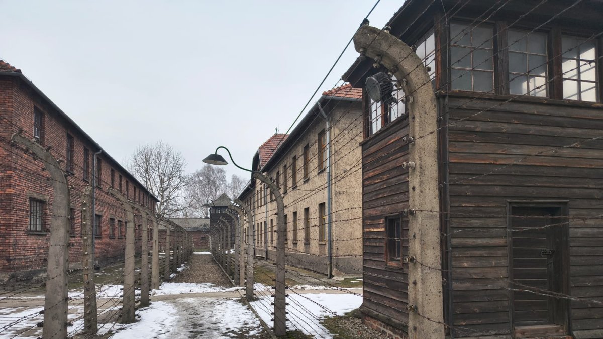 Alambrada en las inmediaciones de Auschwitz I-Birkenau. Foto: Irek Lewandowski.