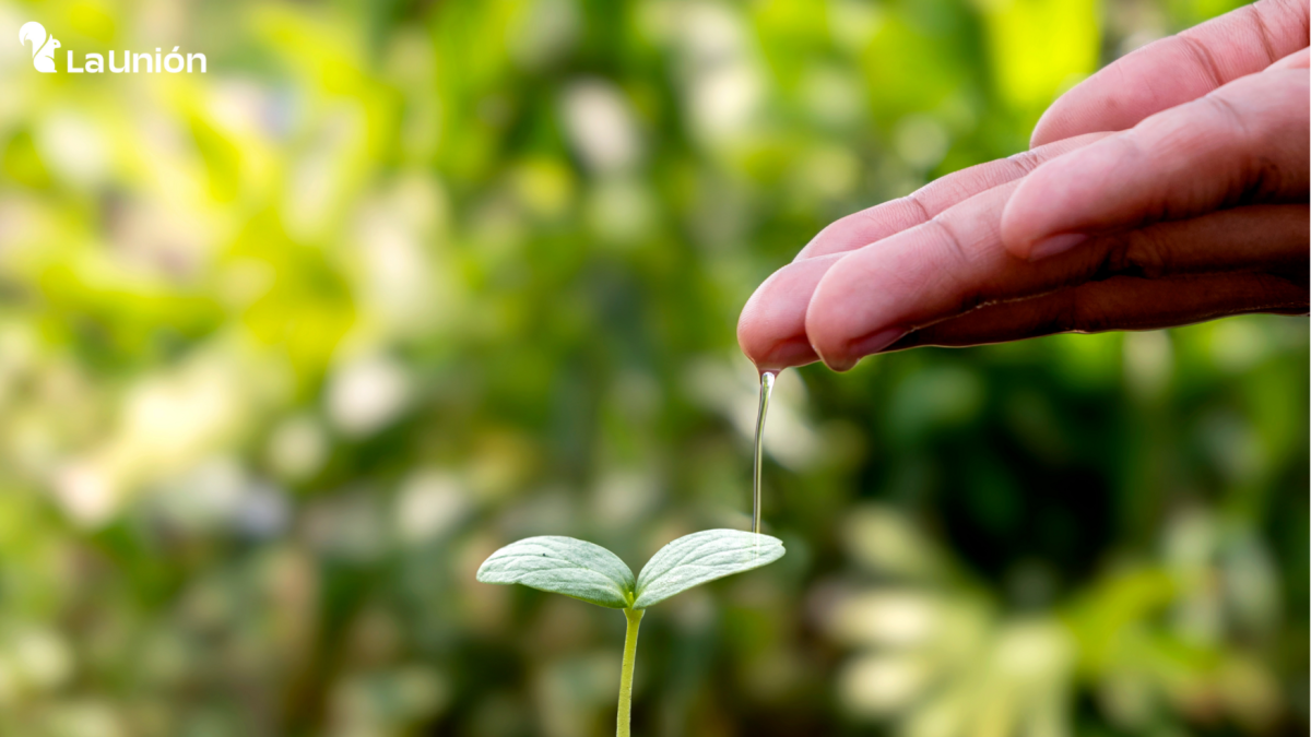 La Unión refuerza su compromiso con la sostenibilidad y la descarbonización