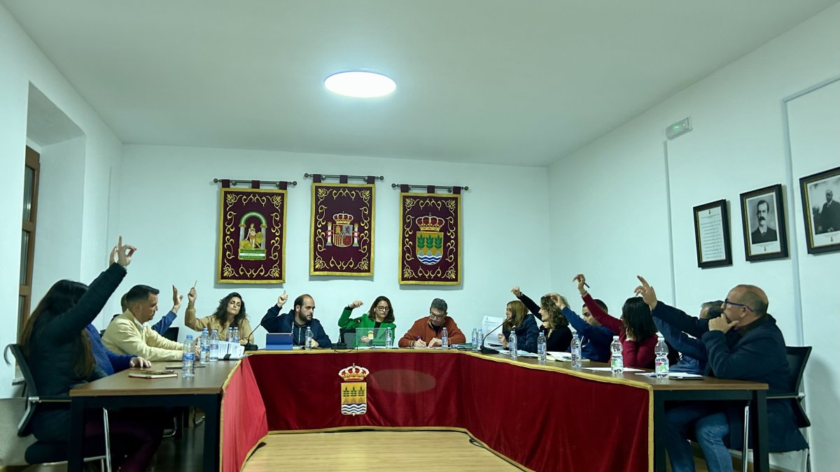 Pleno celebrado la pasada semana en Albox.