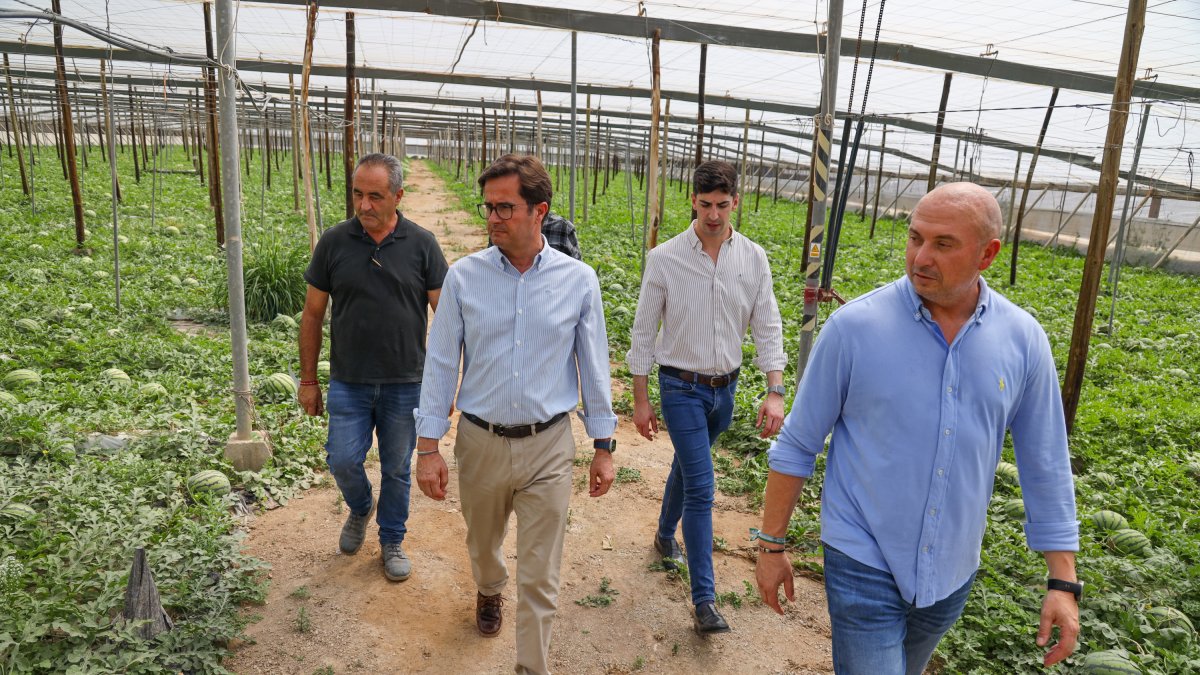 El alcalde, Francisco Góngora, visita un invernadero.