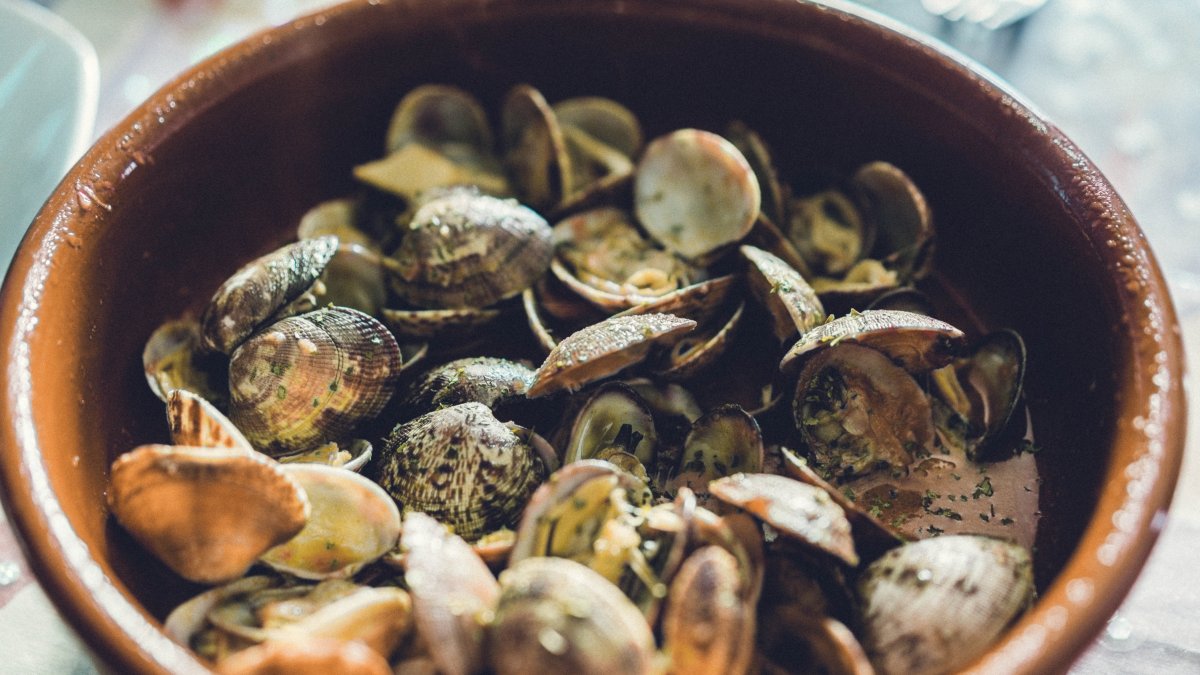 Almejas. Foto: Pixabay.