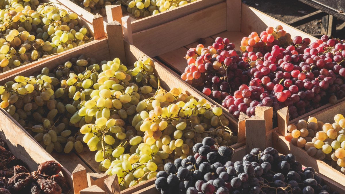 Diferentes variedades de uva colocadas en cajas.