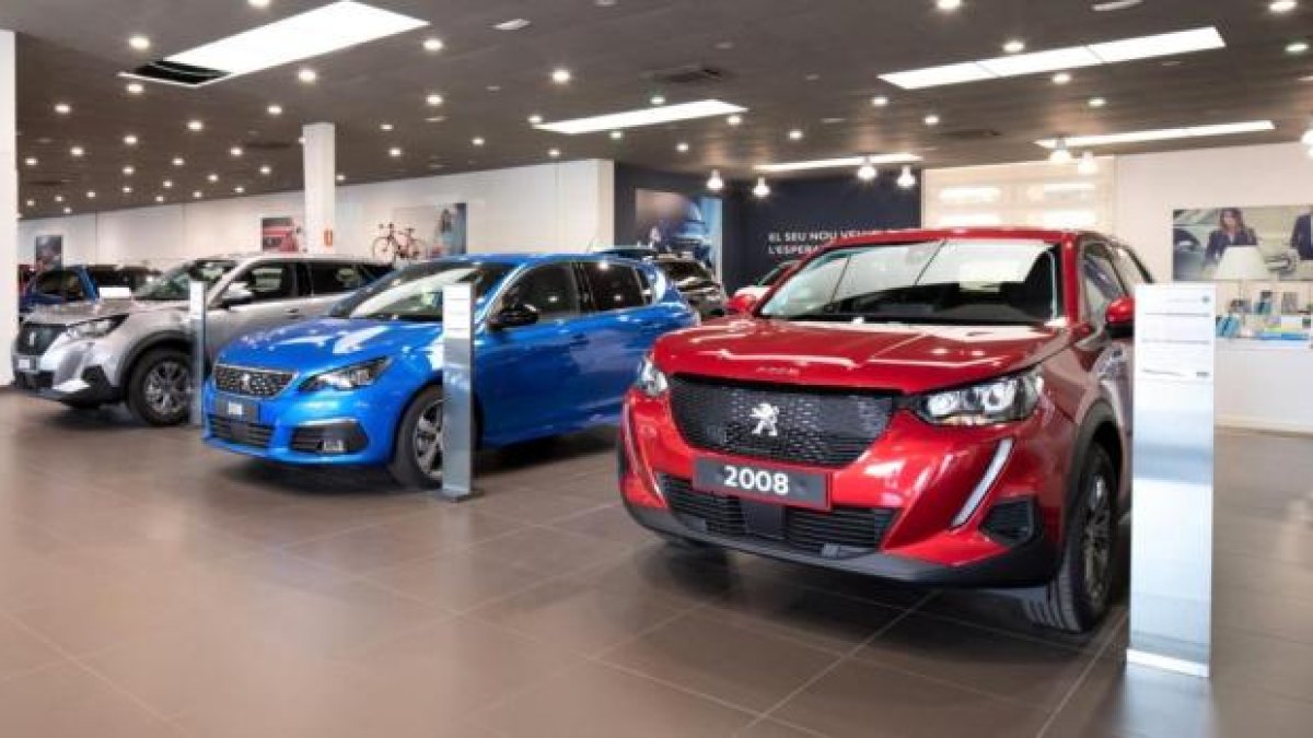 Disfruta de 48 unidades seleccionadas para esta promoción