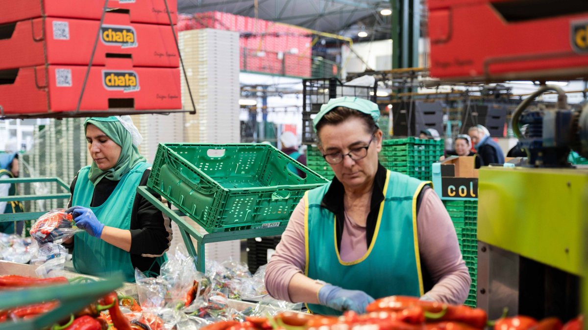 Mujeres en un almacén hortofrutícola.