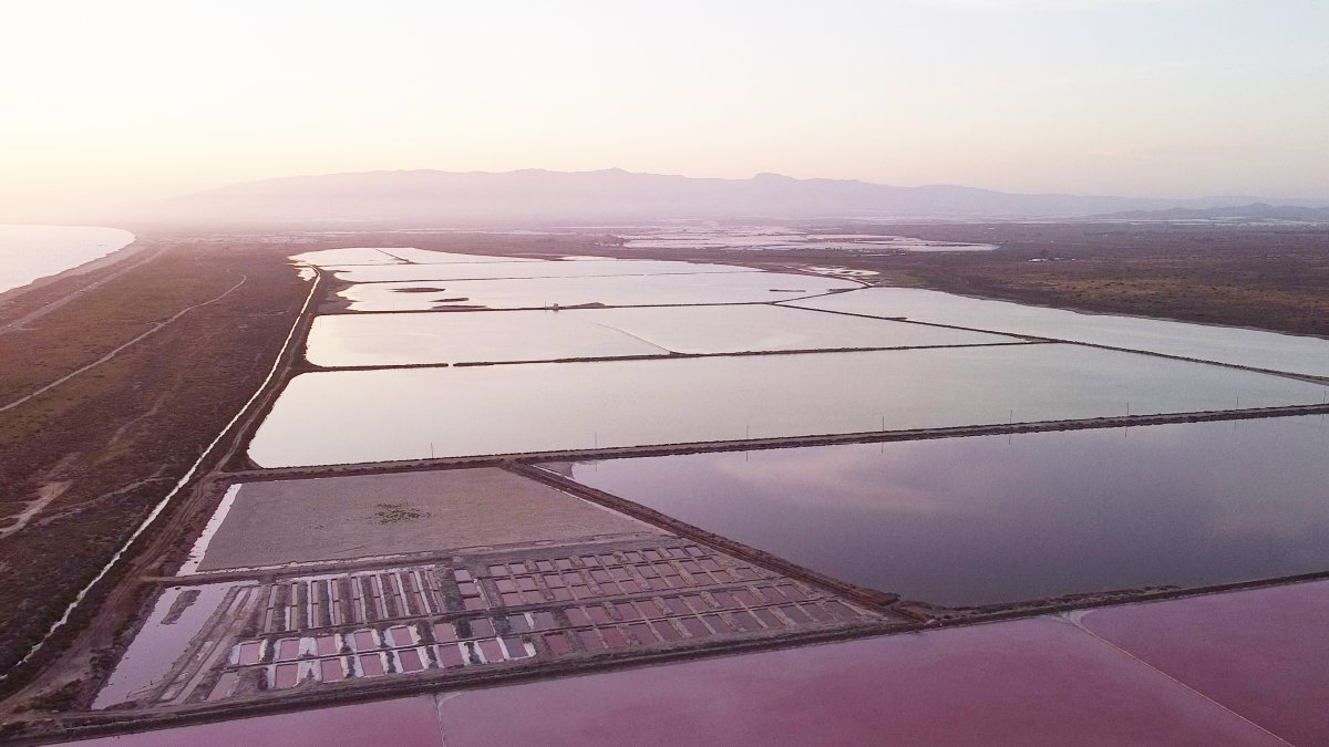 Las Salinas de Cabo de Gata aúnan naturaleza e historia humana.