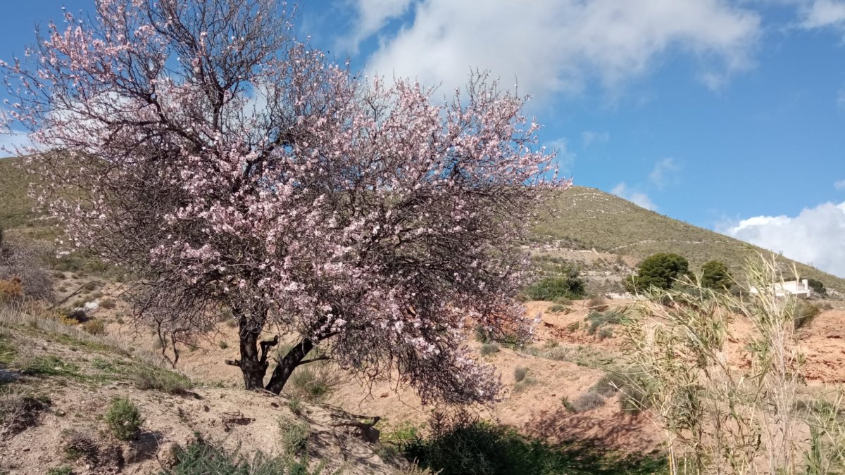 Fotografía de un senderista abderitano a su paso por La Rambla de Bolaños.