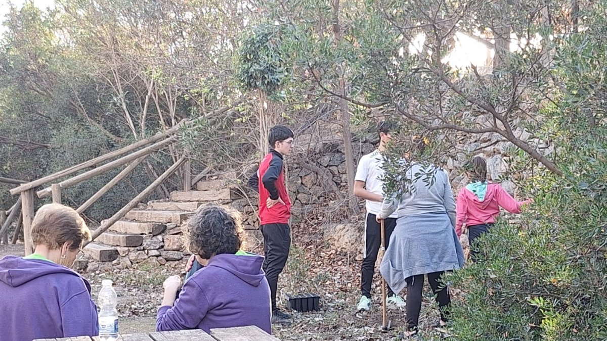Los pequeños plantan 60 algarrobos.