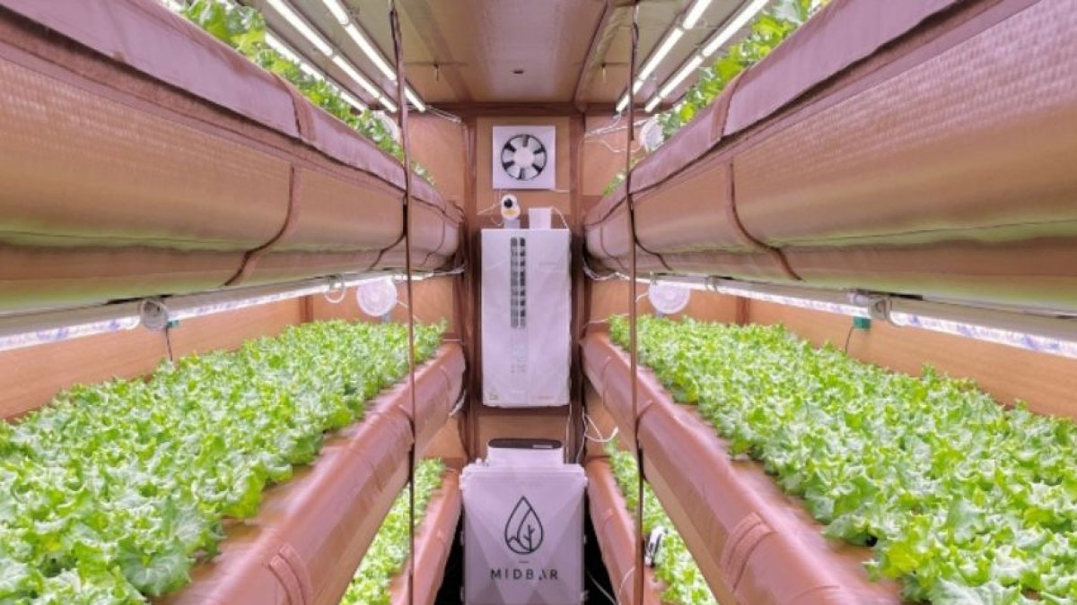 AirFarm, la primera granja inflable y portátil del mundo con un sistema aeropónico.
