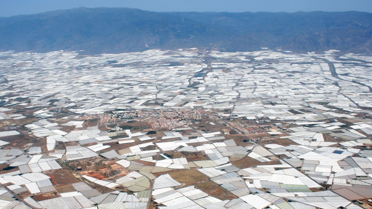 Invernaderos en el Poniente almeriense