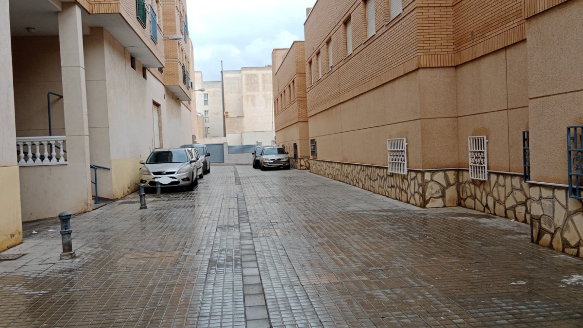 Calle Francisco Ayala, en El Ejido, escenario de los hechos.