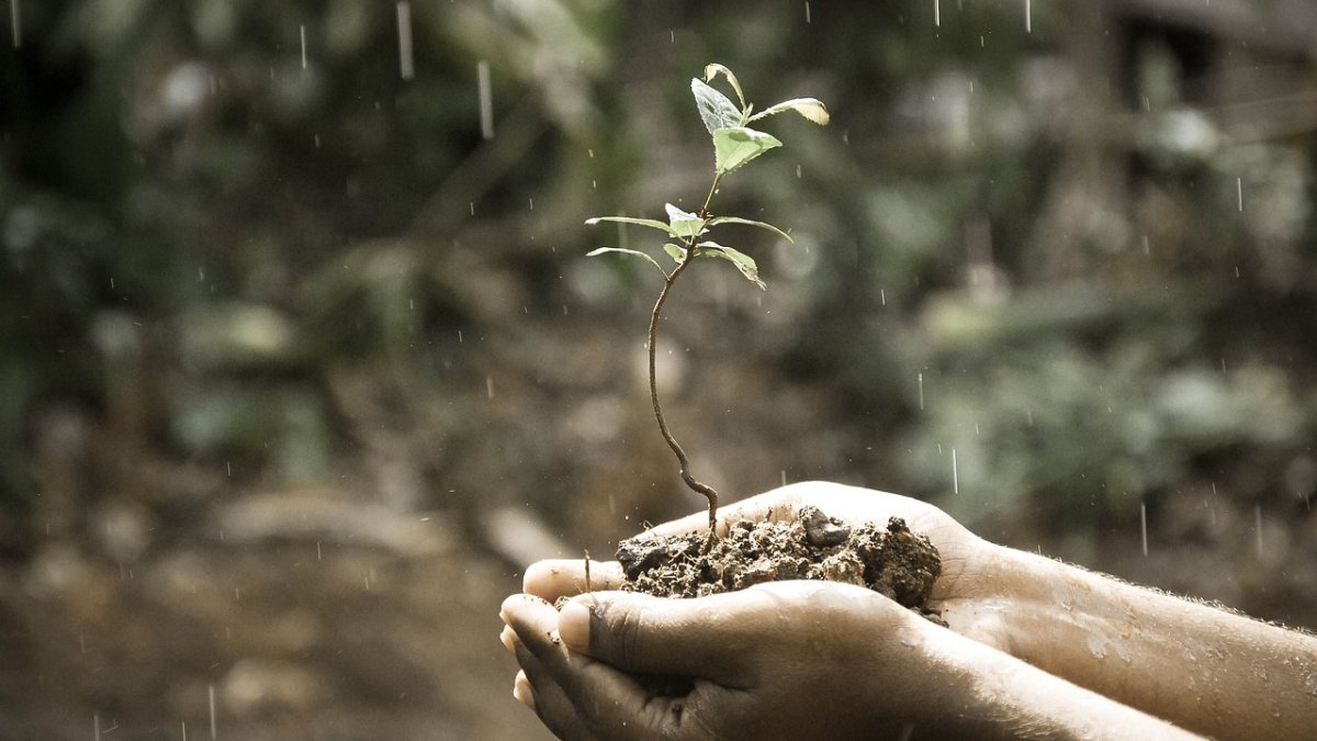 El Gobierno eleva a 7,31 millones de euros el importe de ayudas abonado a 350 agricultores de Almería afectados por la DANA.