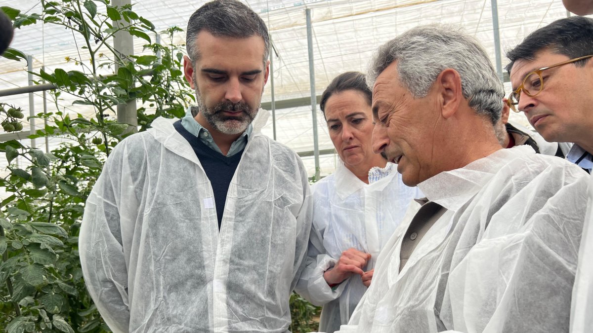 El consejero de Agricultura, Pesca, Agua y Desarrollo Rural, Ramón Fernández-Pacheco, ha visitado este domingo un invernadero de tomate premium.