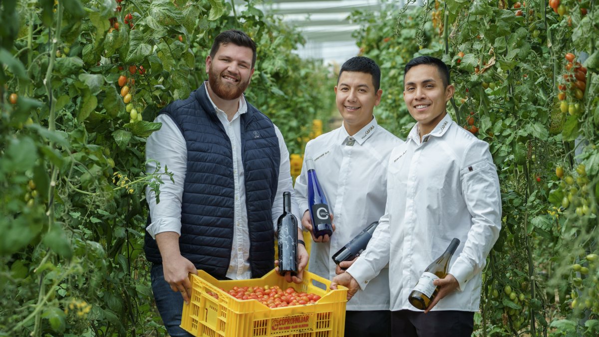 Invernaderos de Agrícola Salmerón López, donde se cultivan los tomates Baby Pera Bio Camelot, a solo 0,5 km del restaurante Villa Cadima.
