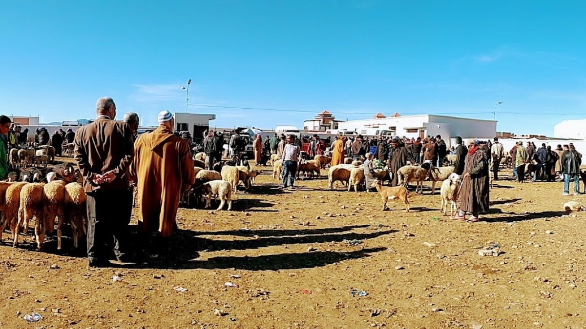 En el Rif hay multitud de zocos con gran afluencia de comerciantes y compradores.