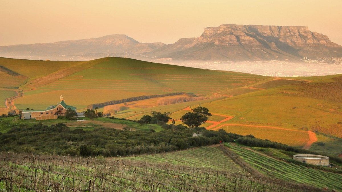 La actividad en el mercado está impulsando un crecimiento en la oferta, con Alicante, Málaga, Ciudad Real y Murcia a la cabeza.