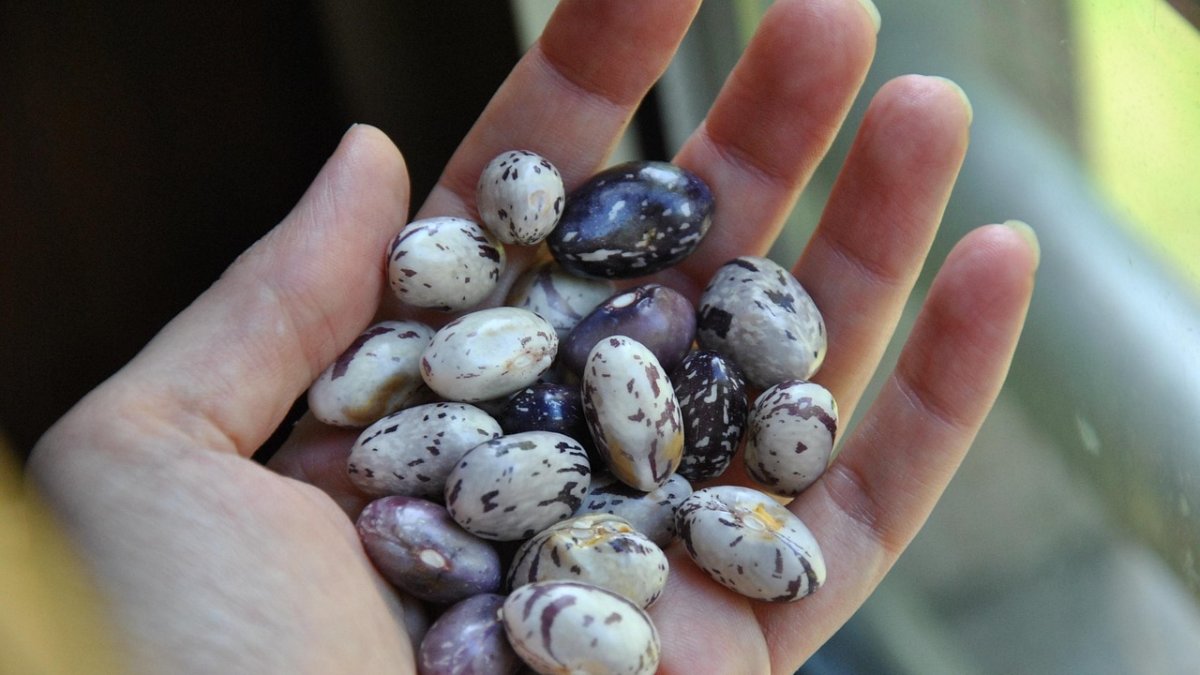 Ensalada con alubias.