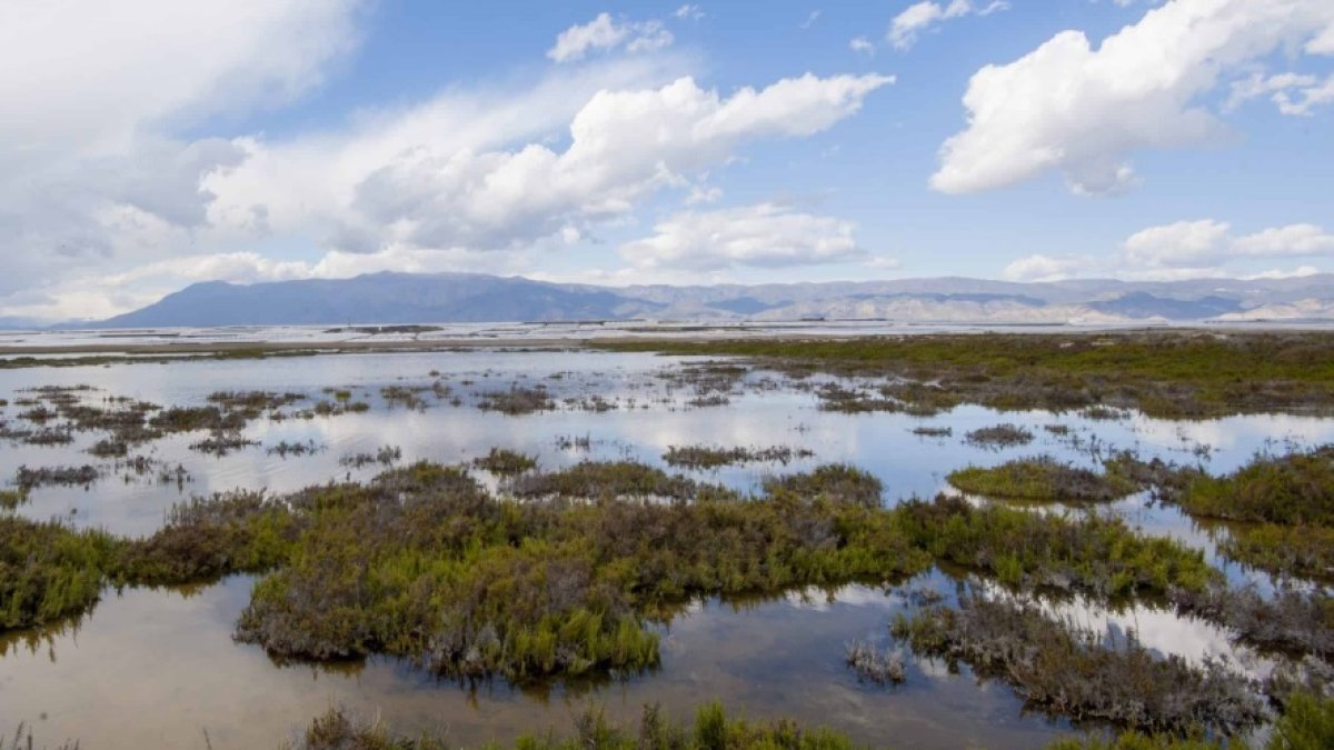 Punta Entina Sabinar Roquetas de Mar.